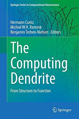 The Computing Dendrite: From Structure To Function-..