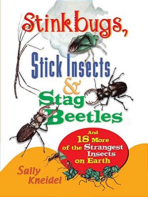 Stink Bugs, Stick Insects, And Stag Beetles: And 18 More Of The Strangest Insects On Earth-..