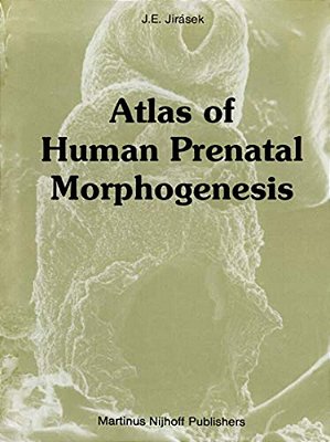 Atlas Of Human Prenatal Morphogenesis-..