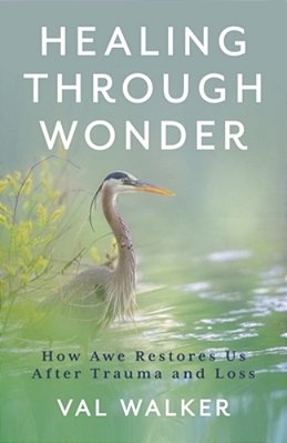 Healing Through Wonder: How Awe Restores US After Trauma And Loss-..