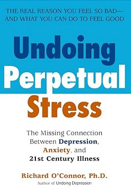 Undoing Perpetual Stress: The Missing Connection Between Depression, Anxiety And 21Stcentury Illness-..