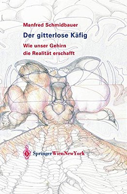Der Gitterlose Käfig: Wie Unser Gehirn Die Realität Erschafft-..