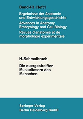 Die Quergestreiften Muskelfasern Des Menschen-..