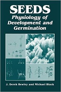 Seeds: Physiology Of Development And Germination-..