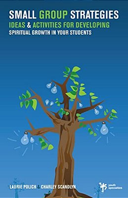 A Small Group Strategies: Ideas& Activities For Developing Spiritual Growth In Your Students-..