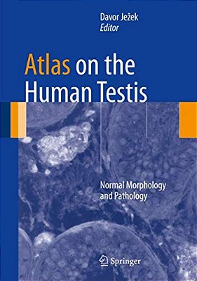Atlas On The Human Testis: Normal Morphology And Pathology-..