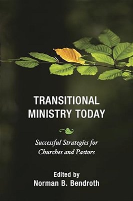 Transitional Ministry Today: Successful Strategies For Churches And Pastors-..