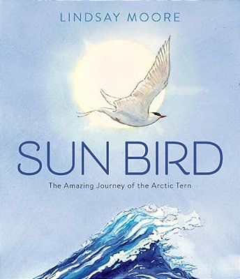 Sun Bird: The Amazing Journey Of The Arctic Tern-..