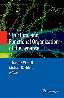 Structural And Functional Organization Of The Synapse-..