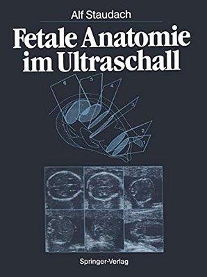 Fetale Anatomie Im Ultraschall-..