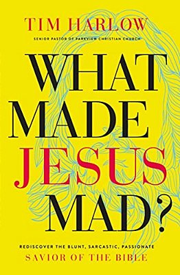 What Made Jesus Mad?*: Rediscover The Blunt, Sarcastic, Passionate Savior Of The Bible-..