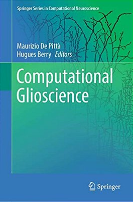 Computational Glioscience-..