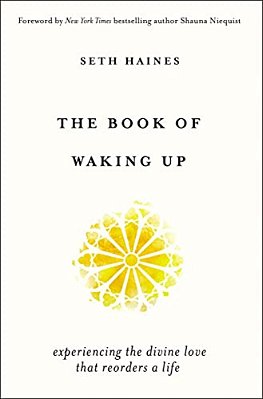 The Book Of Waking Up: Experiencing The Divine Love That Reorders A Life-..