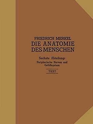 Peripherische Nerven, Gefäßsystem: Inhalt Der Körperhöhlen-..