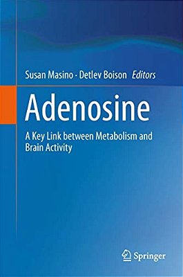 Adenosine: A Key Link Between Metabolism And Brain Activity-..