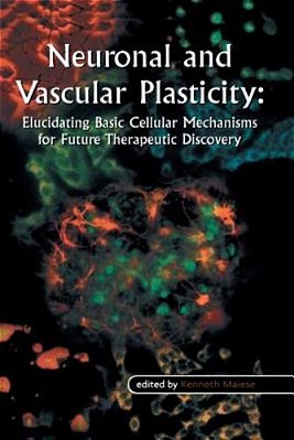 Neuronal And Vascular Plasticity: Elucidating Basic Cellular Mechanisms For Future Therapeutic Discovery-..