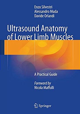 Ultrasound Anatomy Of Lower Limb Muscles: A Practical Guide-..