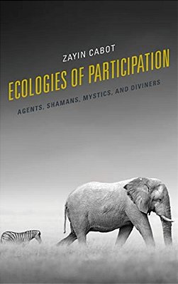 Ecologies Of Participation: Agents, Shamans, Mystics, And Diviners-..