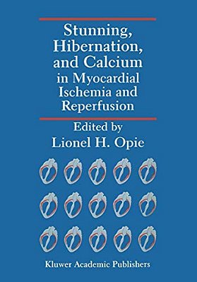 Stunning, Hibernation, And Calcium In Myocardial Ischemia And Reperfusion-..