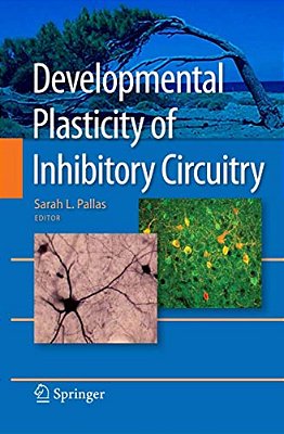 Developmental Plasticity Of Inhibitory Circuitry-..