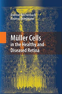 Müller Cells In The Healthy And Diseased Retina-..