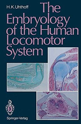 The Embryology Of The Human Locomotor System-..