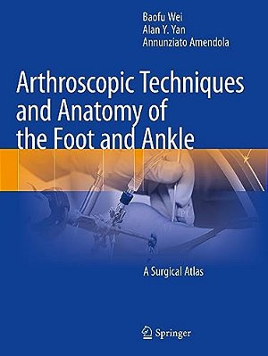 Arthroscopic Techniques And Anatomy Of The Foot And Ankle: A Surgical Atlas-..