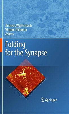 Folding For The Synapse-..