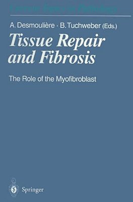 Tissue Repair And Fibrosis: The Role Of The Myofibroblast-..
