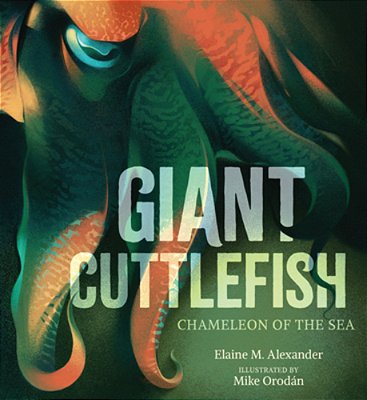 Giant Cuttlefish: Chameleon Of The Sea-..