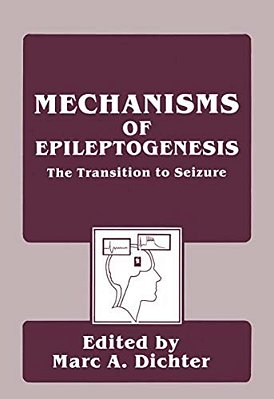Mechanisms Of Epileptogenesis: The Transition To Seizure-..