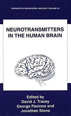 Neurotransmitters In The Human Brain-..