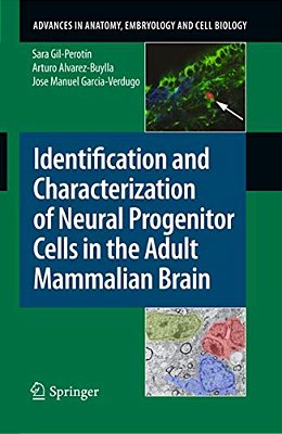 Identification And Characterization Of Neural Progenitor Cells In The Adult Mammalian Brain-..