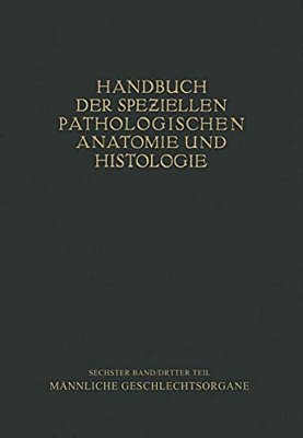 Harnorgane Männliche Geschlechtsorgane-..