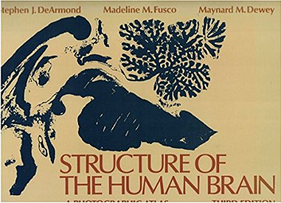 Structure Of The Human Brain: A Photographic Atlas-..