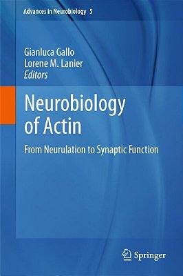 Neurobiology Of Actin: From Neurulation To Synaptic Function-..