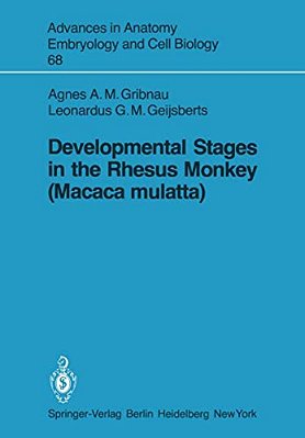 Developmental Stages In The Rhesus Monkey (Macaca Mulatta)-..