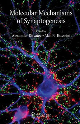 Molecular Mechanisms Of Synaptogenesis-..