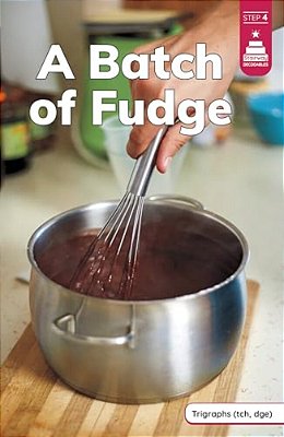 A Batch Of Fudge-..