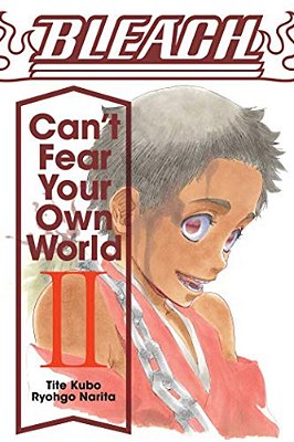 Bleach: Can't Fear Your Own World, Vol. 2-..