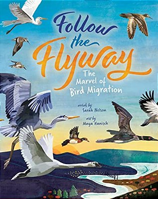 Follow The Flyway: The Marvel Of Bird Migration-..
