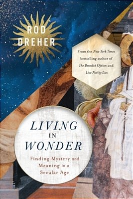Living In Wonder: Finding Mystery And Meaning In A Secular Age-..
