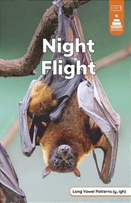 Night Flight-..
