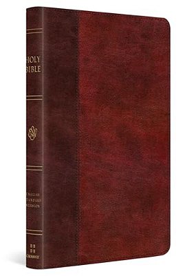 Esv Large Print Thinline Bible (Trutone, Burgundy/Red, Timeless Design)-..