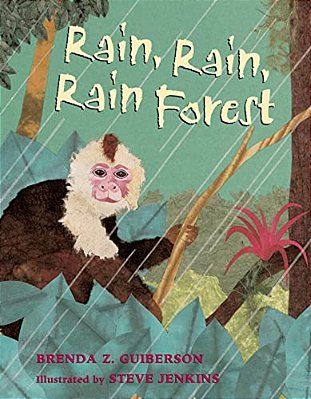 Rain, Rain, Rain Forest-..