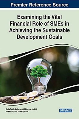 Examining The Vital Financial Role Of Smes In Achieving The Sustainable Development Goals-..