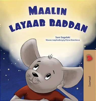 A Wonderful Day (Somali Children's Book)-..