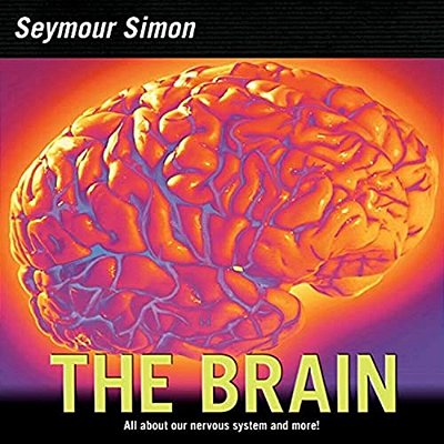 The Brain: All About Our Nervous System And More!-..