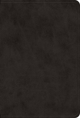 Esv Large Print Value Compact Bible (Trutone, Black)-..