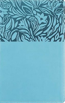 Nasb, Personal Size Reference Bible, Large Print, Paragraph Style, Leathersoft, Teal, Red Letter, 1995 Text, Comfort Print-..